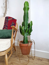 Load image into Gallery viewer, Euphorbia Abyssinica | Desert Candle