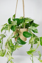Load image into Gallery viewer, Woven Hanging Basket - 17.5cm