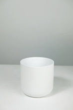 Load image into Gallery viewer, Ceramic Pot - White - 15cm