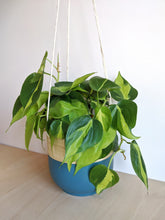 Load image into Gallery viewer, Bamboo Hanging Planter - 18cm
