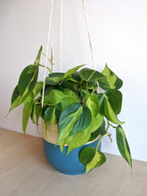 Load image into Gallery viewer, Bamboo Hanging Planter - 18cm