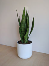 Load image into Gallery viewer, Ceramic Pot - White - 18.5cm