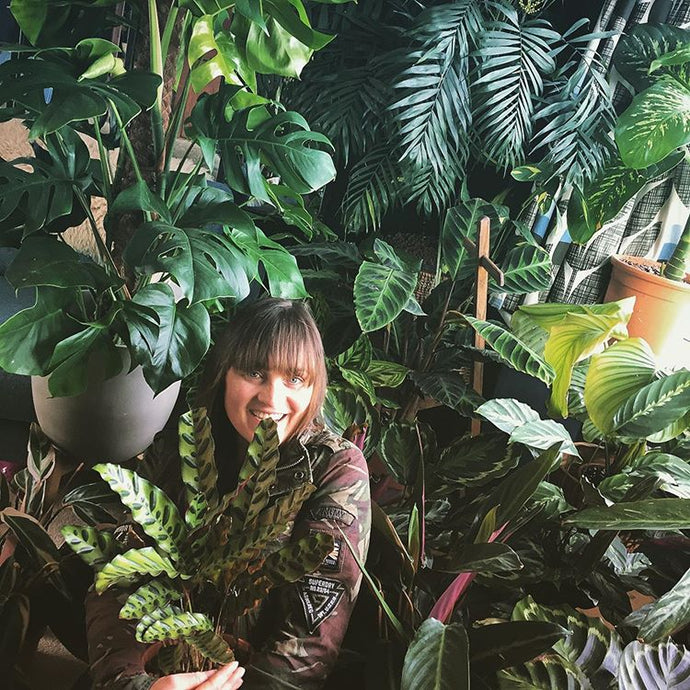 Plant Styling with @calathealove