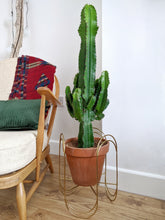 Load image into Gallery viewer, Euphorbia Abyssinica | Desert Candle
