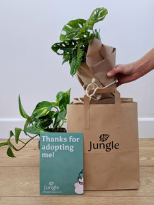 The Instant Jungle (3-10 Plants)