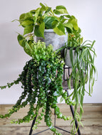 The Hanging Bundle