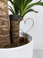 Heart Shaped Plant Topper