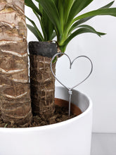 Load image into Gallery viewer, Heart Shaped Plant Topper
