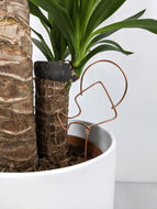 Watering Can Plant Topper
