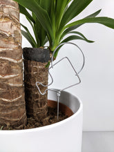 Load image into Gallery viewer, Watering Can Plant Topper
