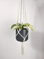 Handwoven Macrame Hanger - White
